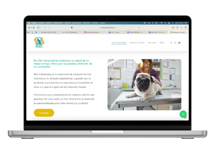 creacion de contenido en la pagina web de clot veterinaria autónomo
